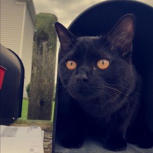 Meet your Posher, Sabrina